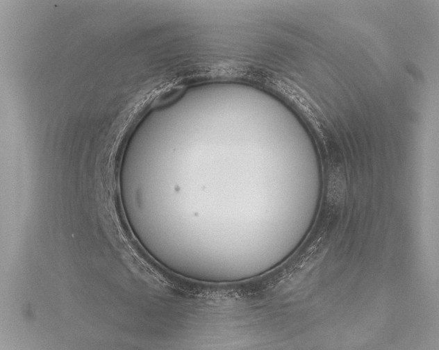 X0000115520673200911201700