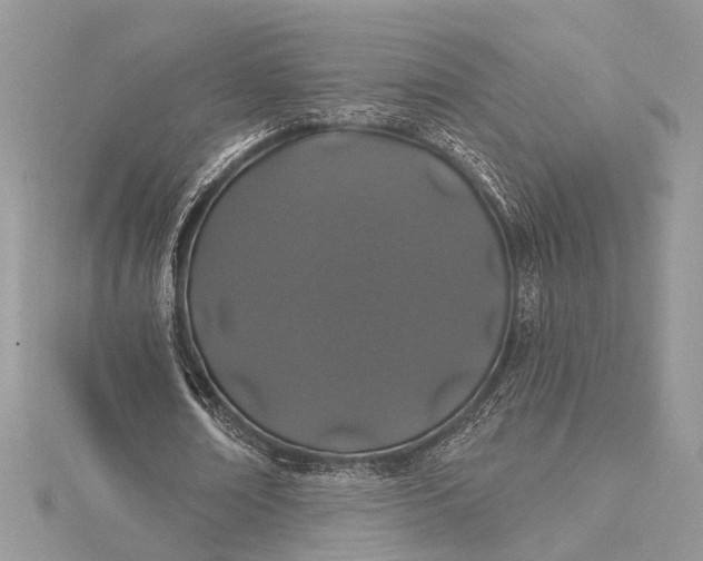 X0000115520674200911201700