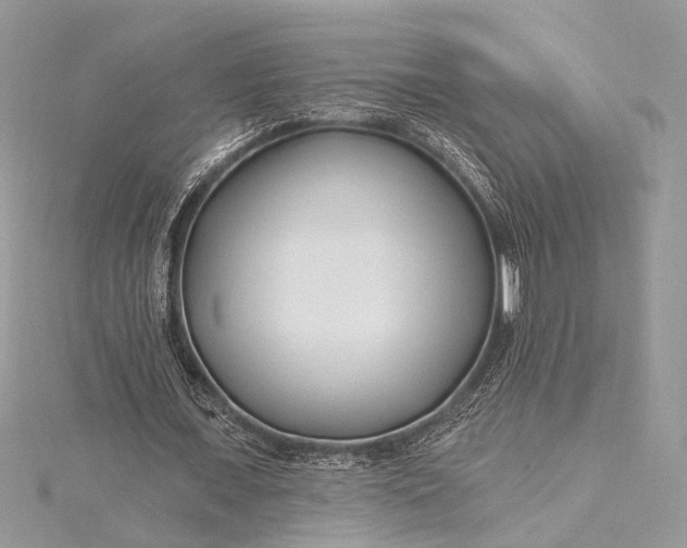 X0000115520675200911201700