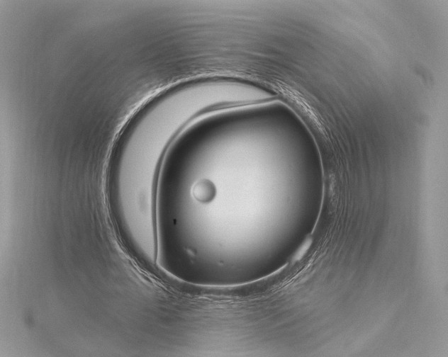 X0000115520676200911201700