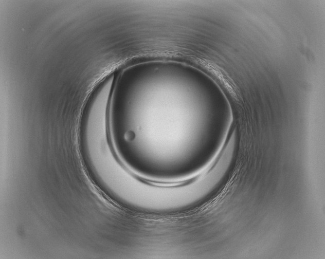 X0000115520677200911201659