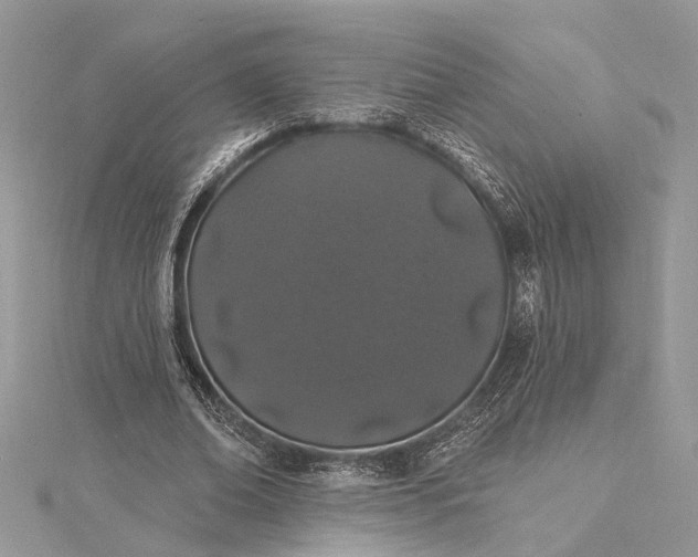 X0000115520678200911201659