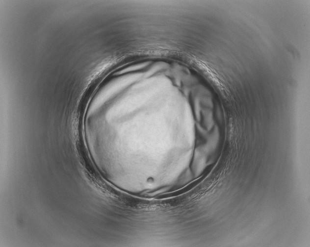 X0000115520679200911201659