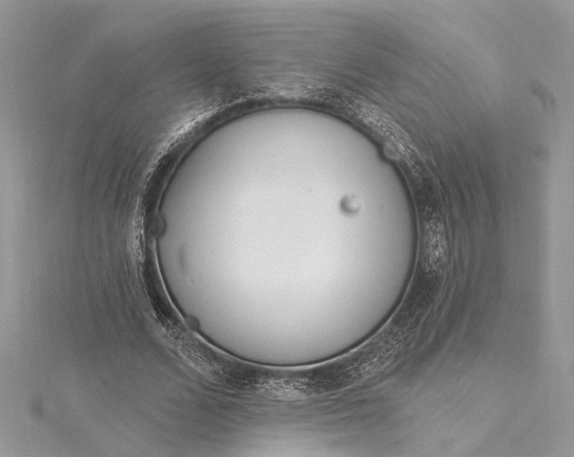 X0000115520680200911201659