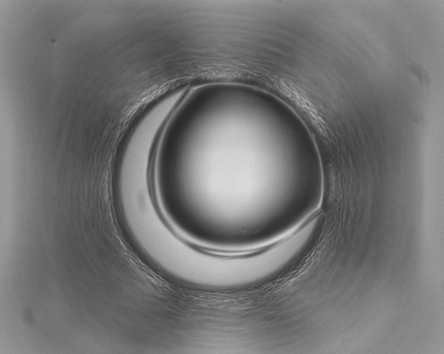 X0000115520681200911201659