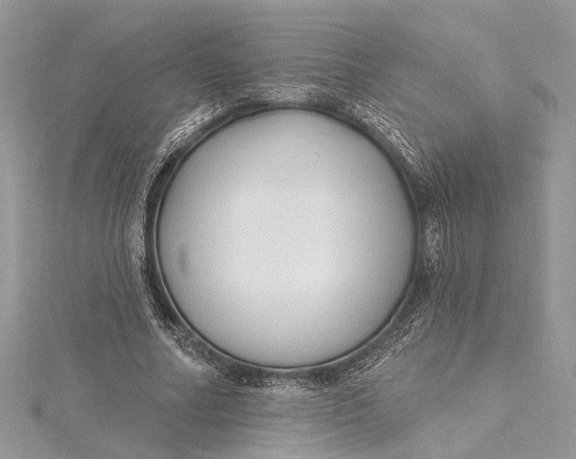 X0000115520682200911201659