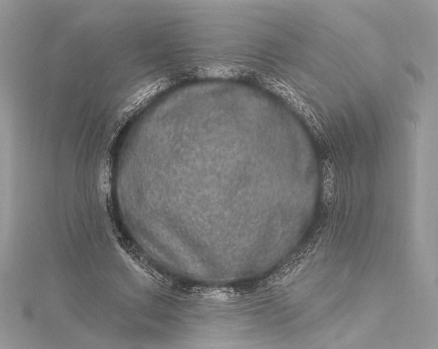 X0000115520683200911201659