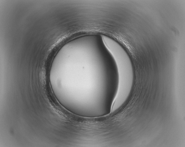 X0000115520684200911201659