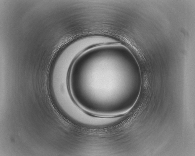 X0000115520685200911201659