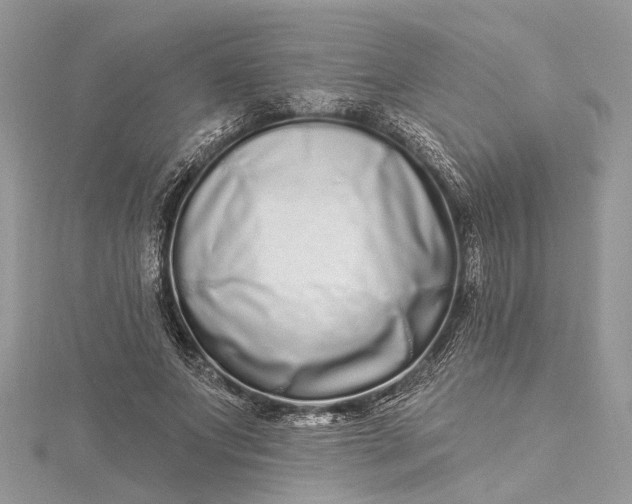 X0000115520687200911201659