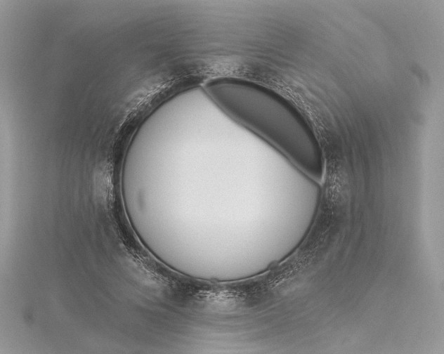 X0000115520688200911201659