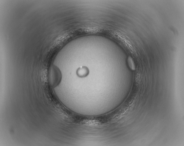 X0000115520689200911201659