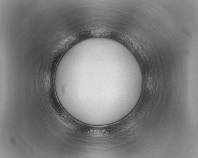 X0000115520690200911201659