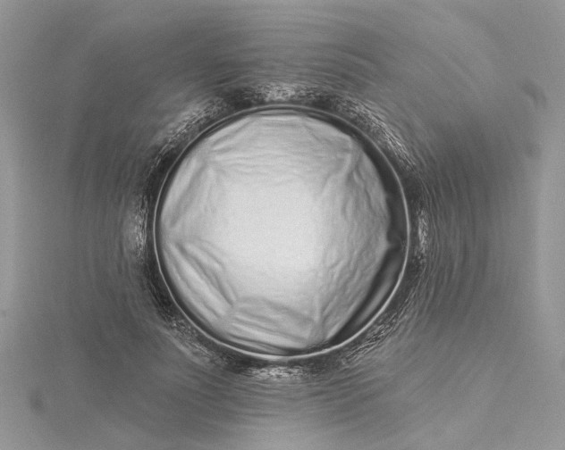 X0000115520691200911201659