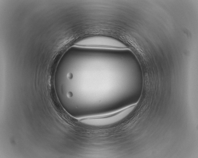 X0000115520692200911201659