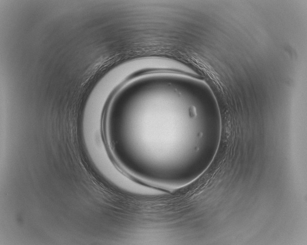 X0000115520693200911201659