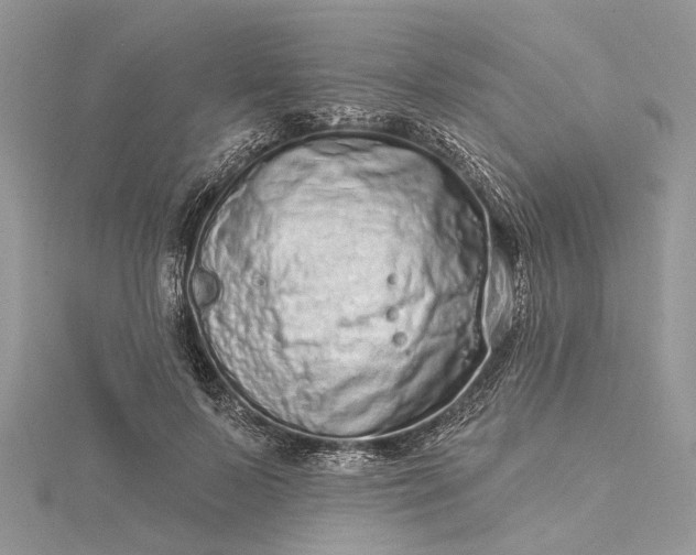 X0000115520695200911201659