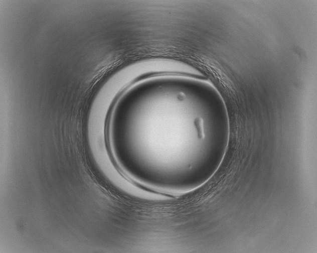 X0000115520696200911201659