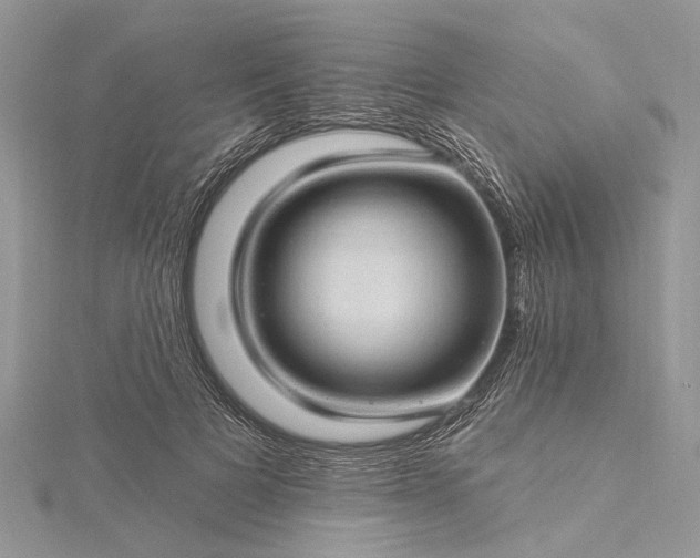 X0000115520697200911201659