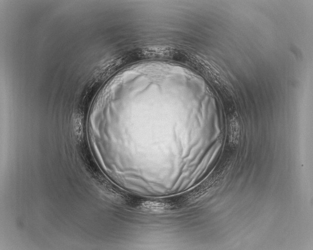 X0000115520699200911201659