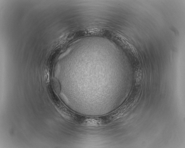 X0000115520703200911201659