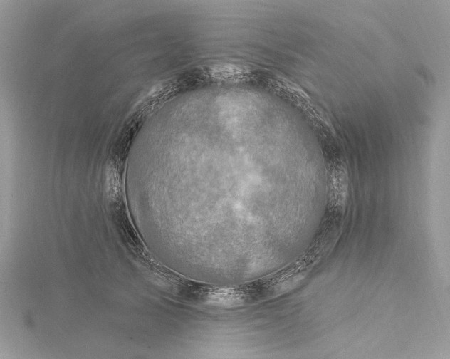 X0000115520705200911201659