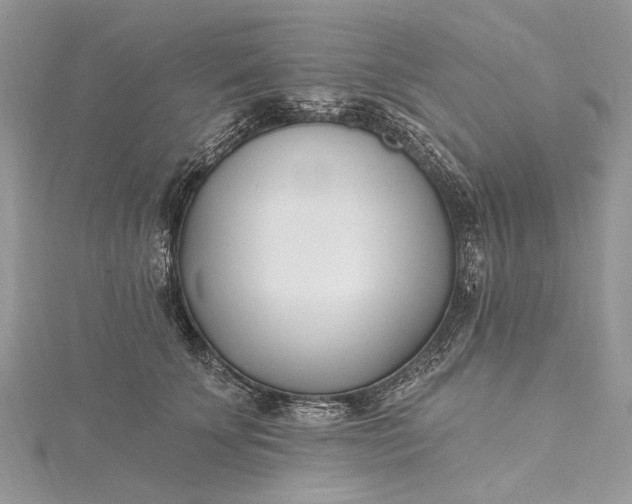 X0000115520707200911201659