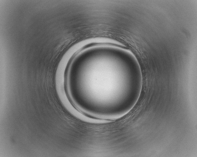 X0000115520709200911201659