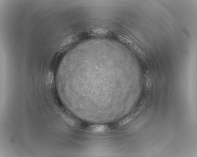 X0000115520711200911201659