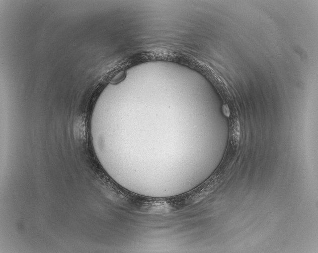 X0000115520715200911201659