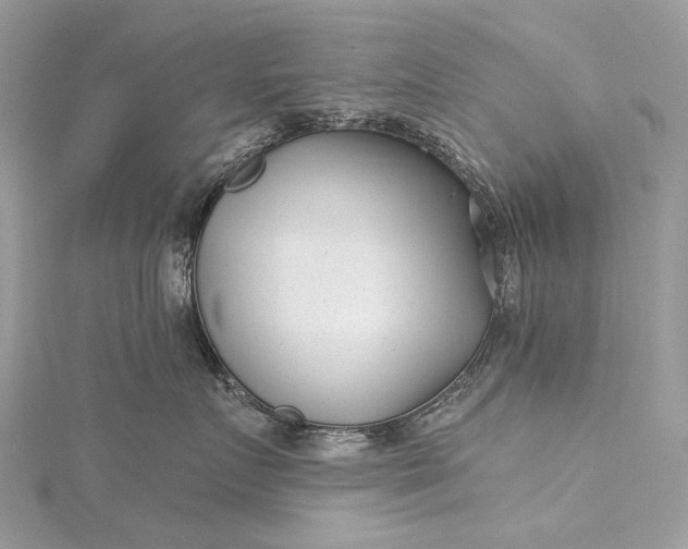 X0000115520719200911201659