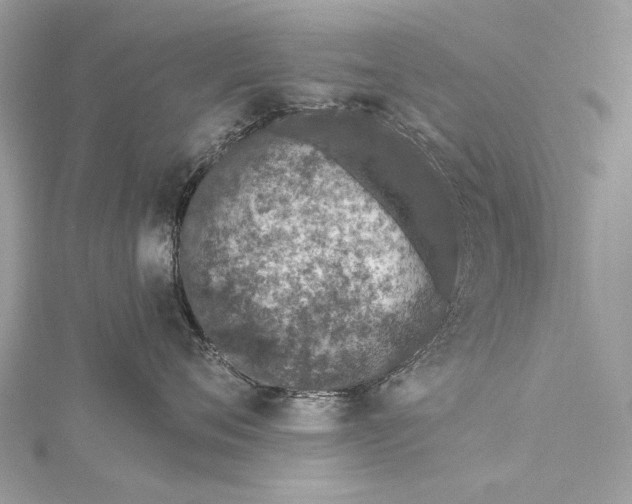 X0000115520720200911201659