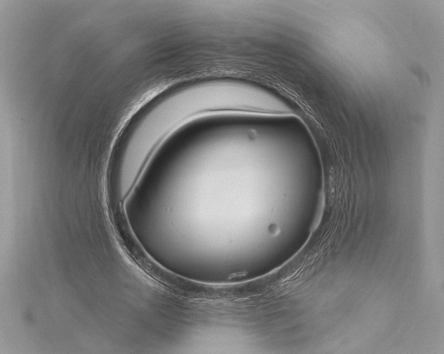 X0000115520726200911201658