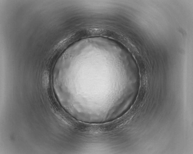 X0000115520733200911201658