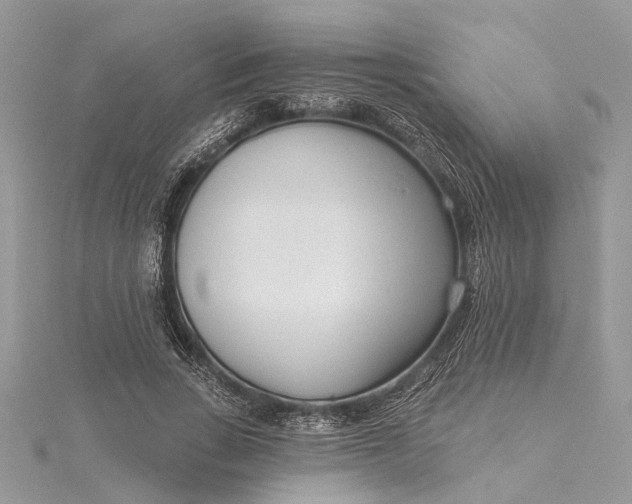 X0000115520735200911201659