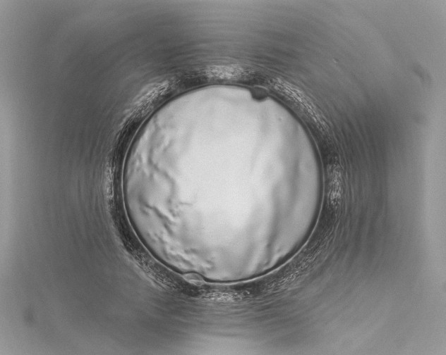 X0000115520738200911201659