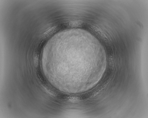 X0000115520741200911201659