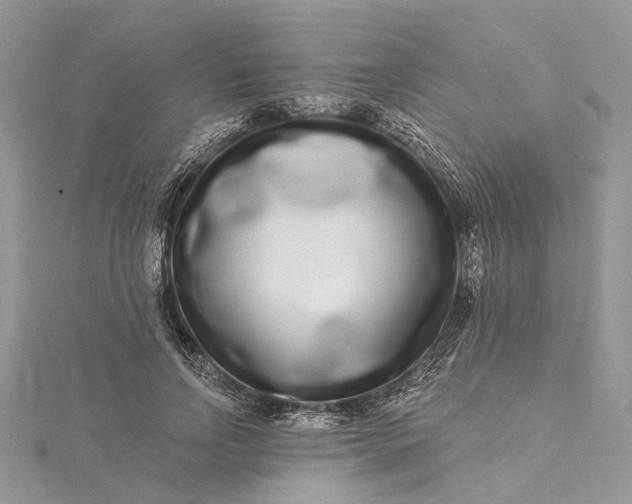 X0000115520742200911201659