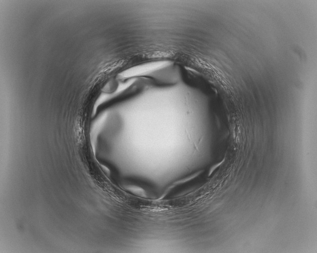 X0000115520743200911201659