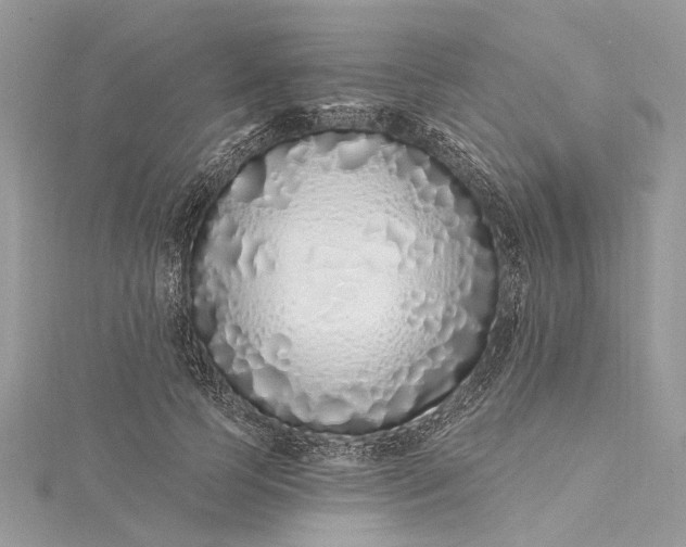 X0000115520745200911201659