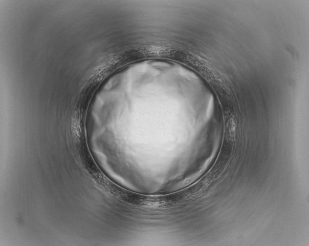 X0000115520746200911201659