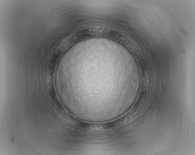 X0000115520749200911201659