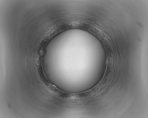 X0000115520750200911201659