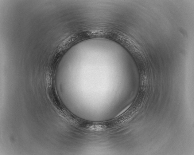 X0000115520751200911201659