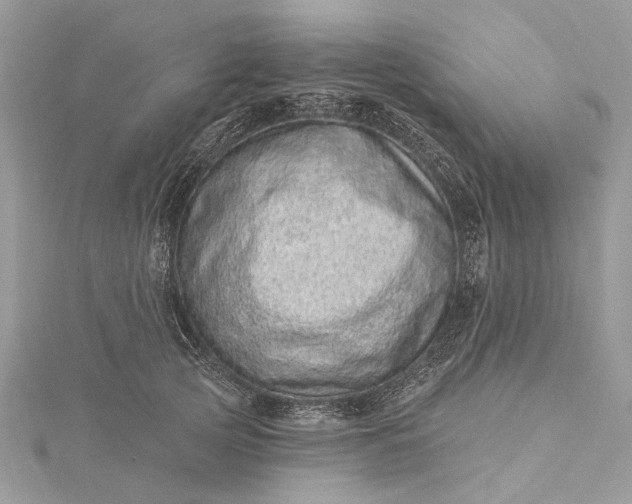 X0000115520753200911201659