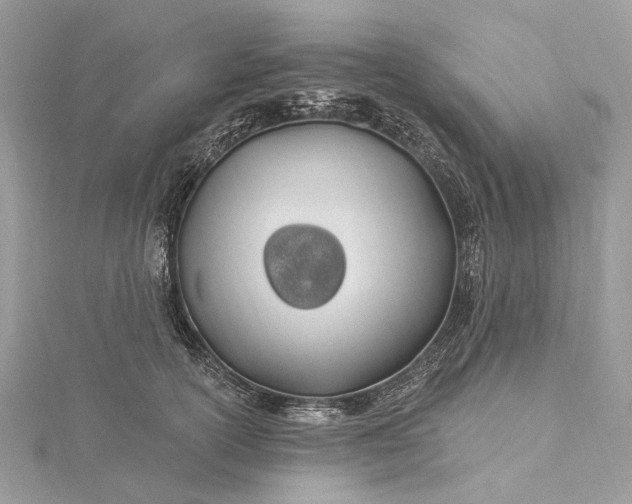 X0000115520754200911201659