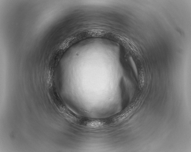 X0000115520759200911201659