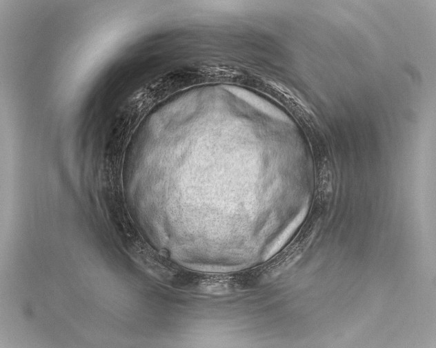 X0000115520761200911201659