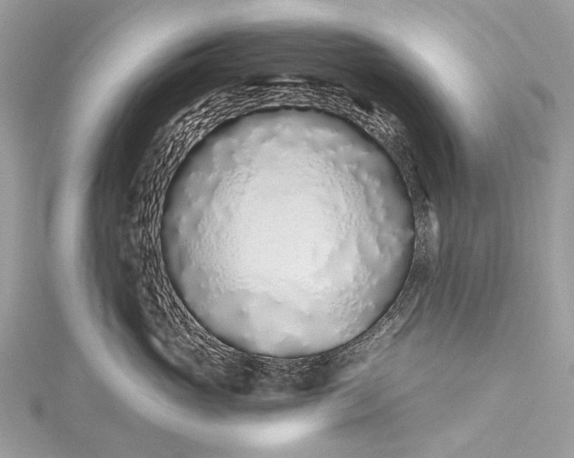 X0000115520765200911201659