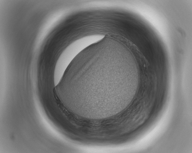 X0000115520766200911201659